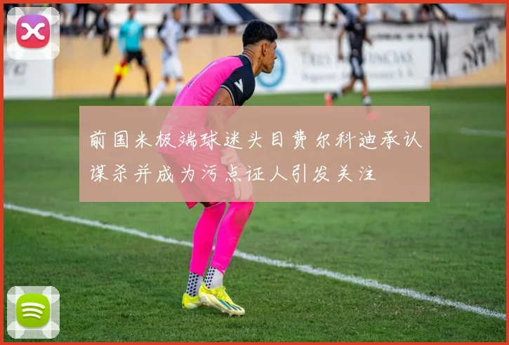 前国米极端球迷头目费尔科迪承认谋杀并成为污点证人引发关注