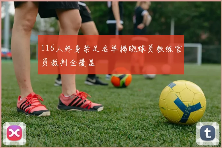 116人终身禁足名单揭晓球员教练官员裁判全覆盖