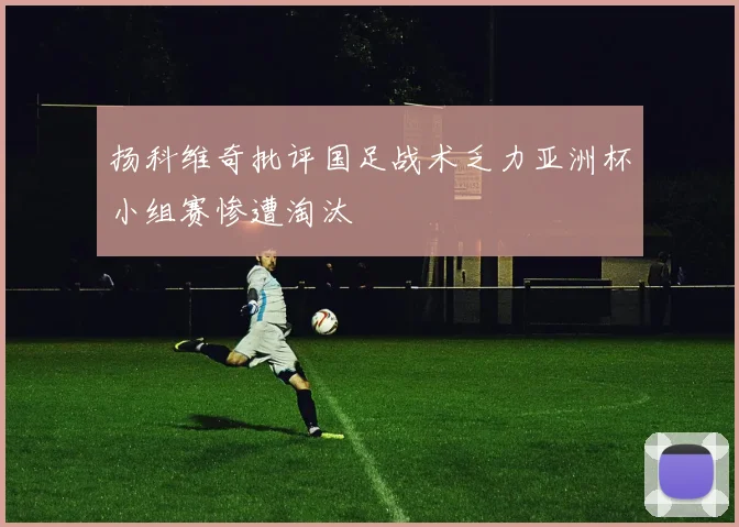 扬科维奇批评国足战术乏力亚洲杯小组赛惨遭淘汰