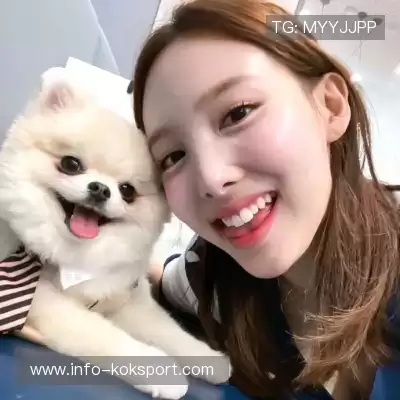 叶霏蝶